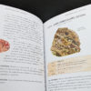 La bible des cristaux volume 2 - Image 3